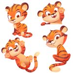 Tigre para colorir