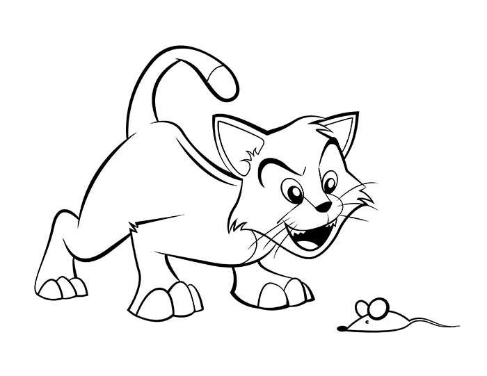 Gato e rato para colorir