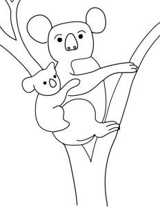 Koala para imprimir e colorir