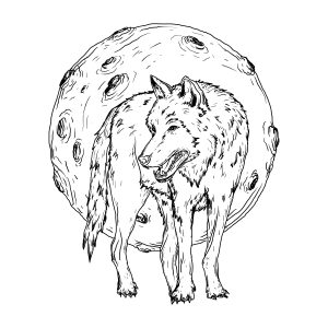 Lobo para colorir na Lua