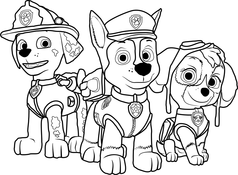 Patrulha Canina para colorir e pintar