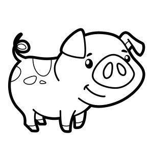 Porco-simpático