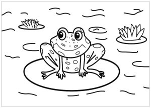 Sapinho para colorir