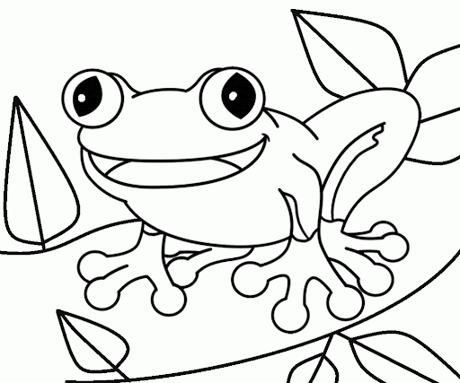 Sapo divertido para pintar