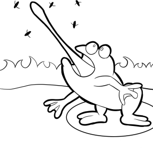 Sapo pegando moscas