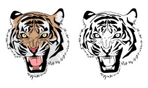 Tigre feroz para colorir