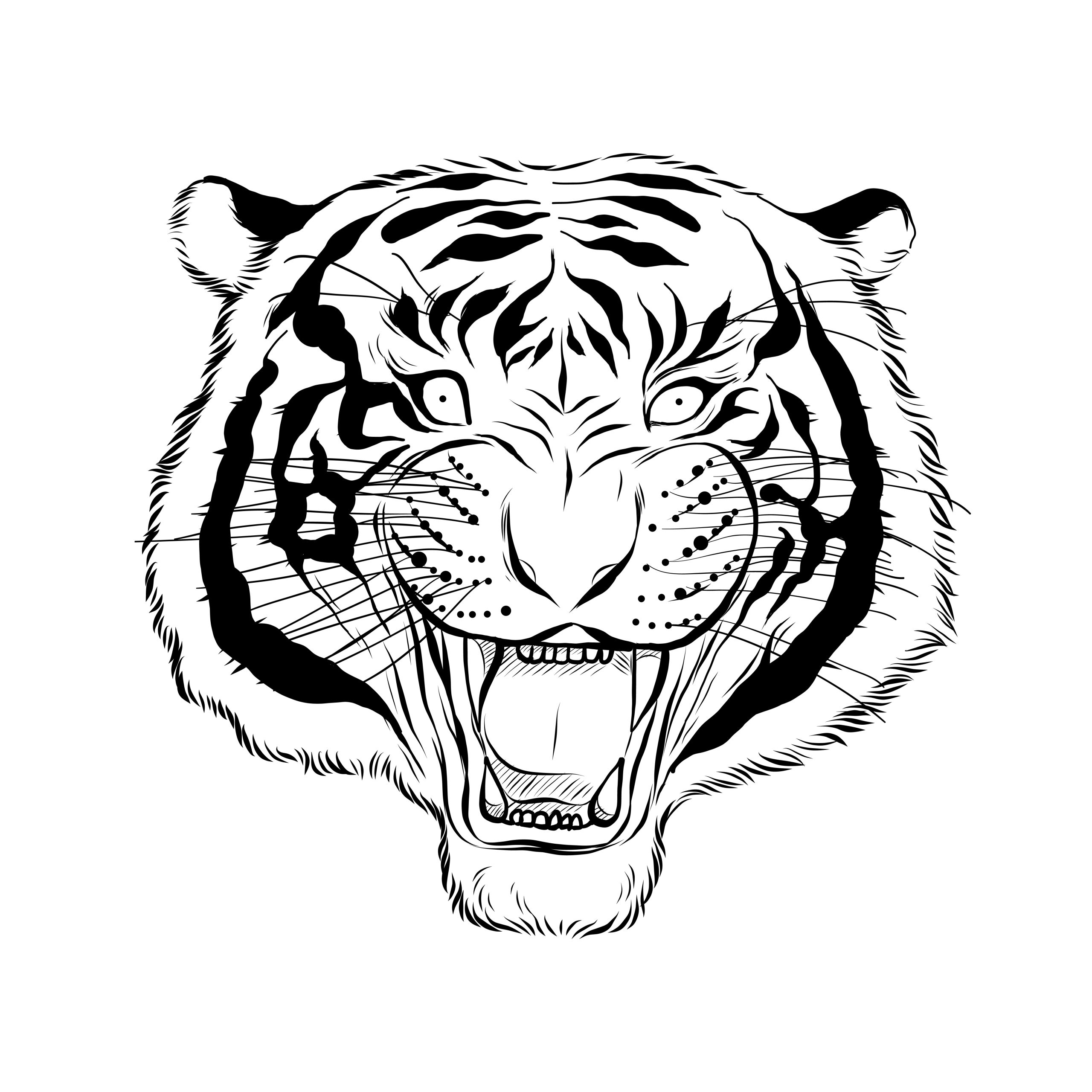 Tigre-feroz-para-pintar