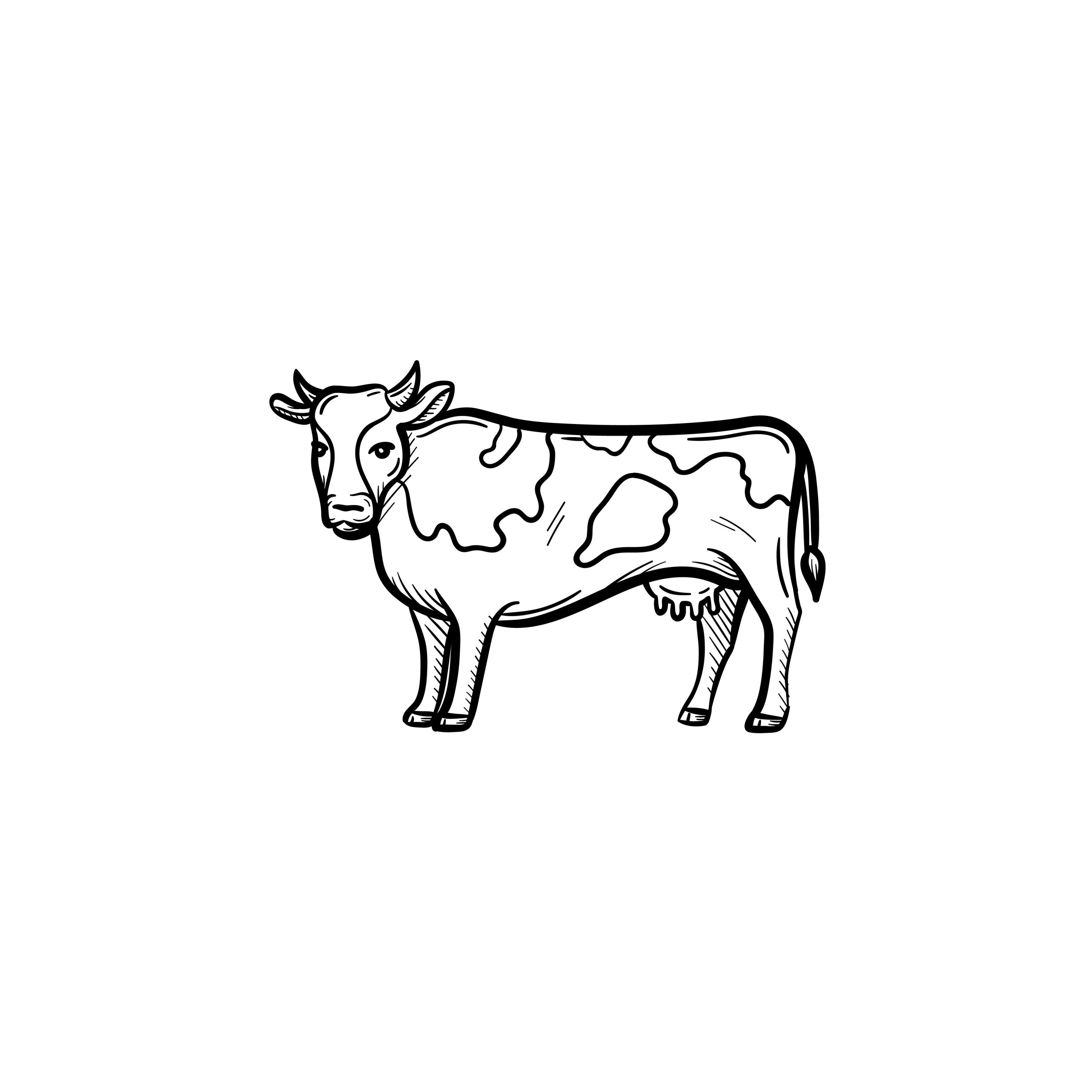 Vaca-para-colorir