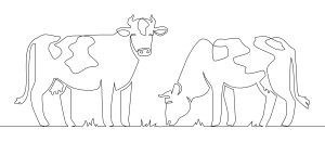 Vacas pastando para pintar