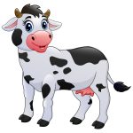 Desenho de vacas para colorir