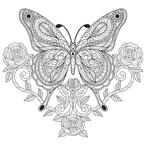 borboleta com flor
