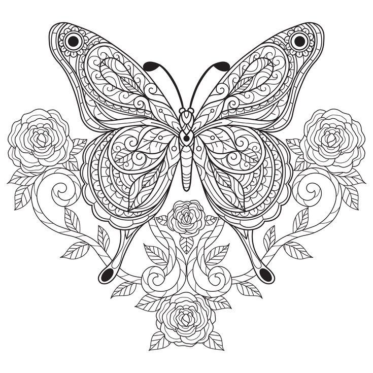 borboleta com flor