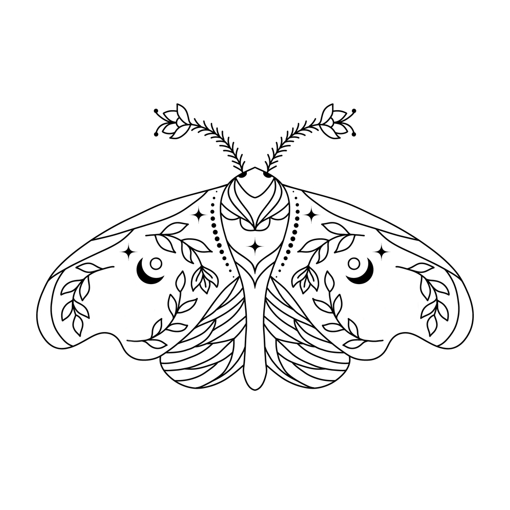 borboleta noturna