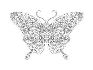 desenho de borboleta para colorir