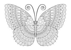Imagem de borboleta para colorir